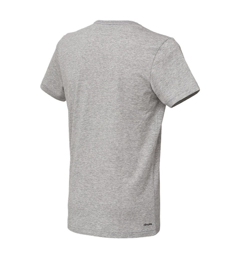 Adidas T-Shirt mit Logo, grau/hellblau